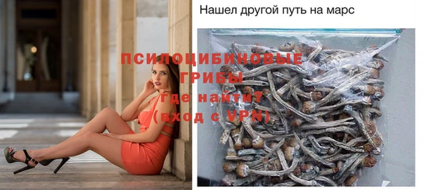 ECSTASY Балабаново
