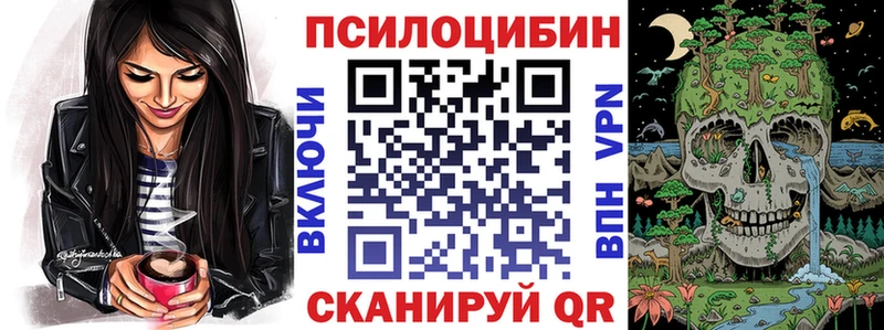 Псилоцибиновые грибы мицелий  наркошоп  гидра как войти  Высоковск 
