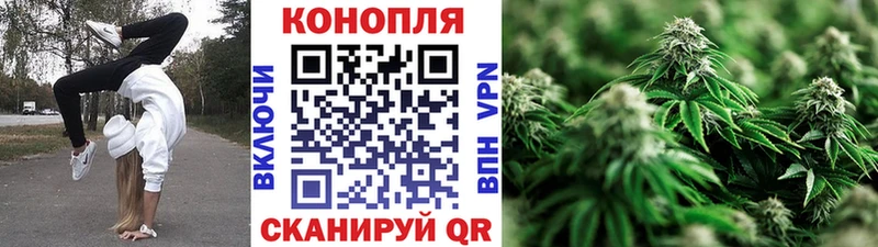 Канабис планчик  что такое наркотик  Высоковск 